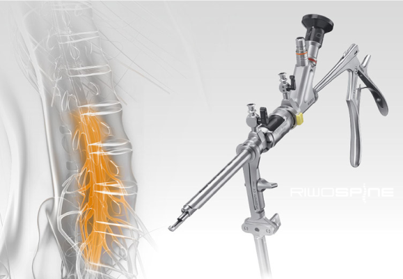 sistema-vertebris-imagen-2
